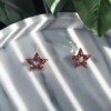 Brat Shining Star Hypoallergenic Earrings - Image 4
