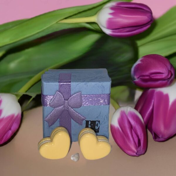Brat Cookie Bliss Hypoallergenic Earrings - Image 7