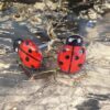 Ladybug Lovelies Earrings - Image 2